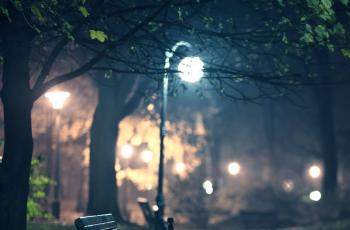 Donker park met het licht van een lantaarnpaal